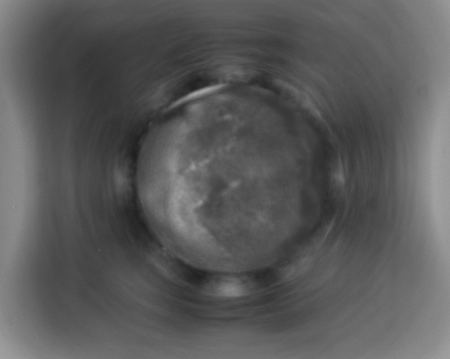 X0000113290663200910051102