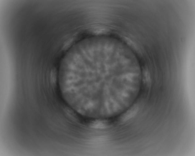 X0000113290664200910051102