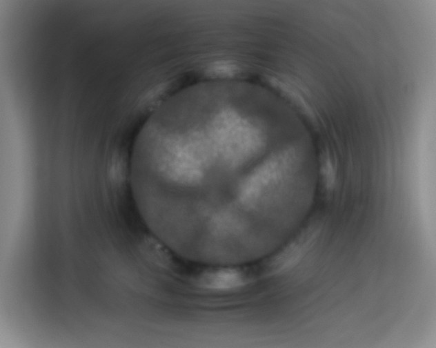 X0000113290665200910051102