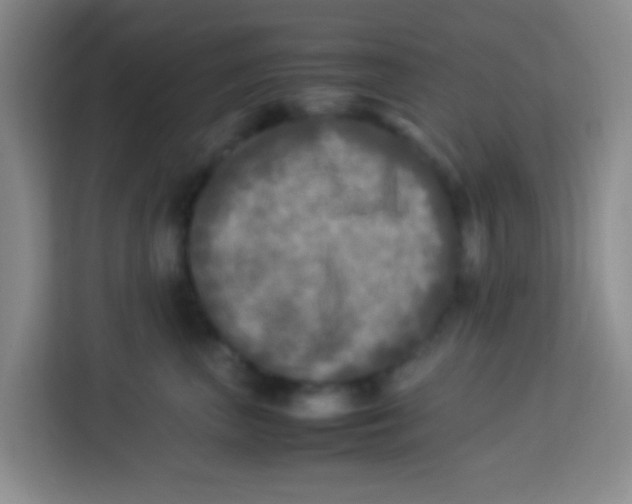 X0000113290667200910051102