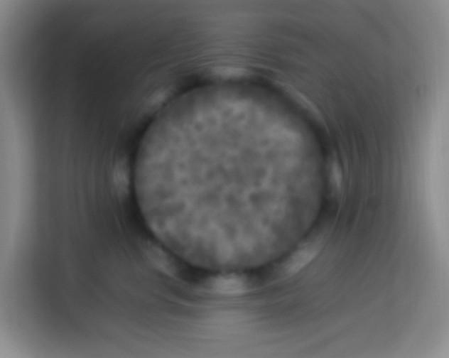 X0000113290668200910051102