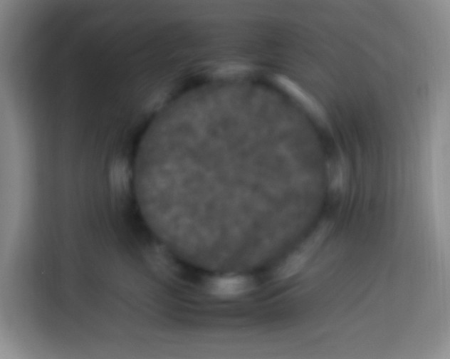 X0000113290669200910051102