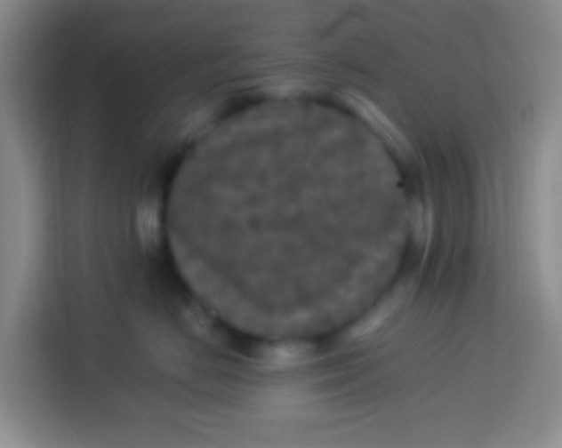 X0000113290670200910051102