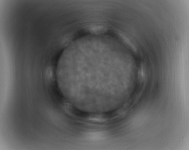 X0000113290671200910051102