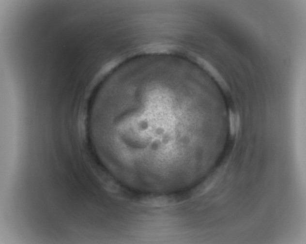 X0000113290675200910051101