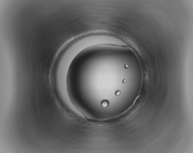 X0000113290676200910051101