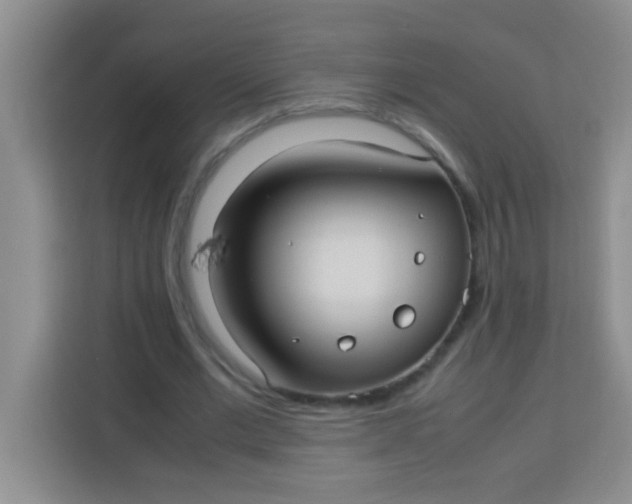 X0000113290677200910051101