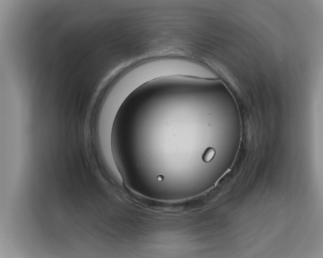 X0000113290680200910051101