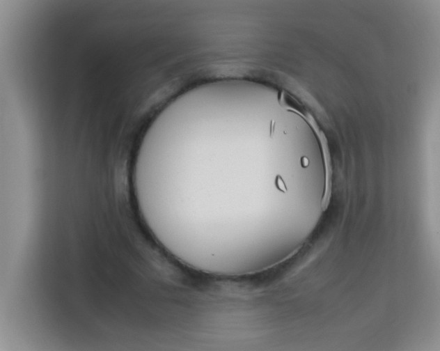 X0000113290681200910051101