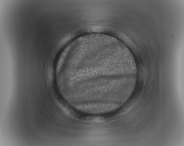 X0000113290683200910051101