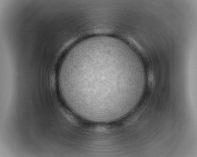 X0000113290684200910051101