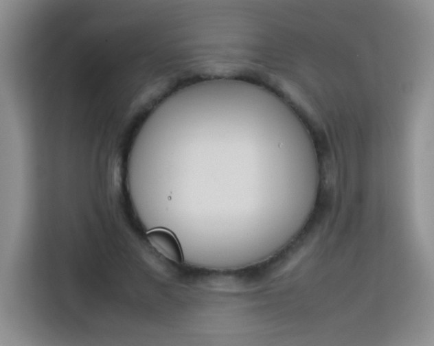 X0000113290685200910051101