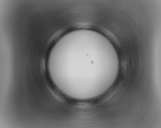 X0000113290686200910051101