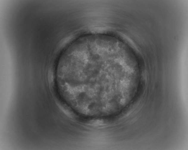 X0000113290687200910051101