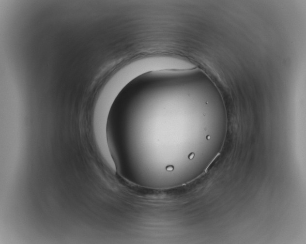 X0000113290688200910051101