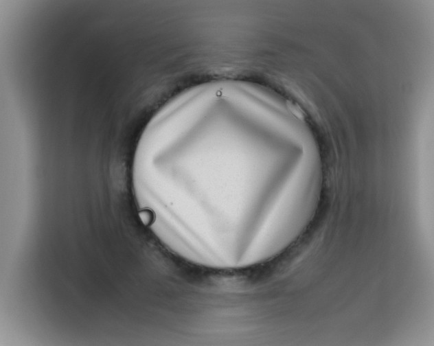 X0000113290689200910051101