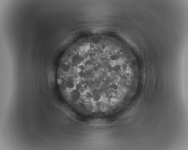 X0000113290691200910051101