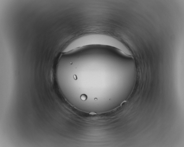 X0000113290692200910051101