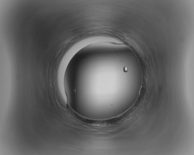 X0000113290693200910051101