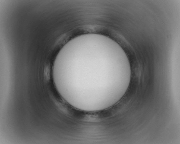 X0000113290694200910051101