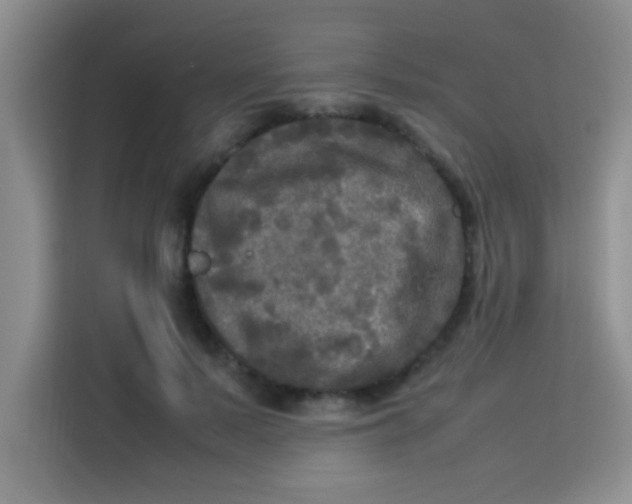 X0000113290695200910051101