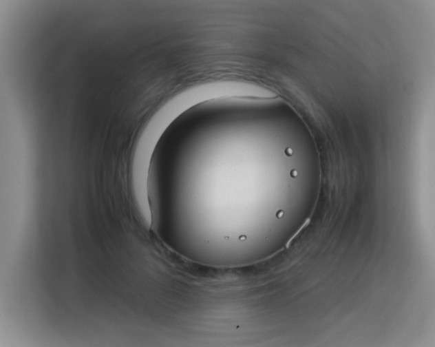 X0000113290696200910051101