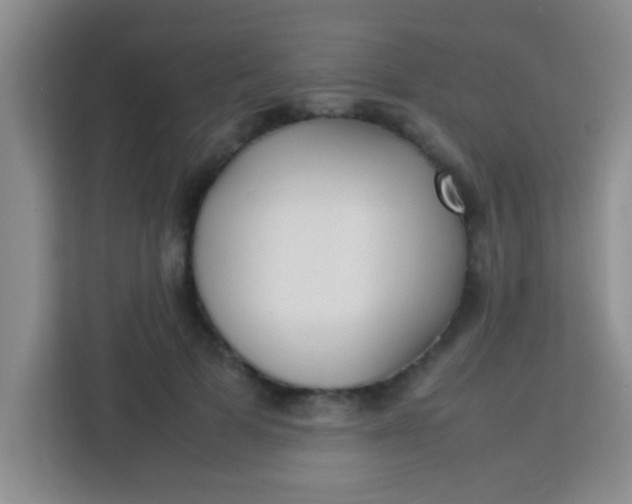 X0000113290697200910051101