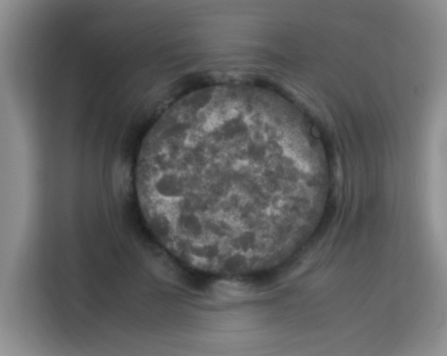 X0000113290699200910051101