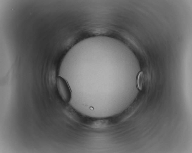 X0000113290700200910051101