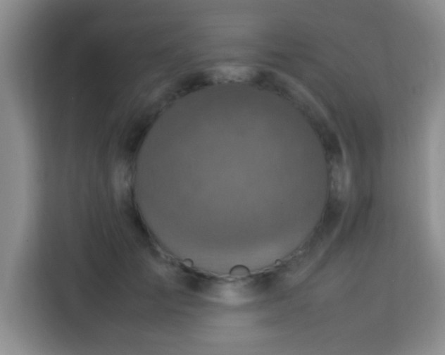 X0000113290701200910051101