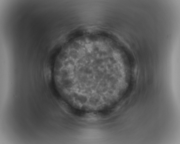 X0000113290703200910051101