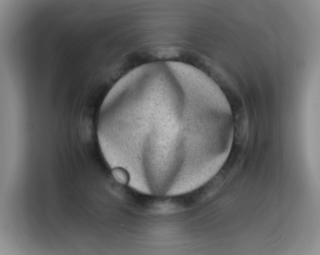 X0000113290704200910051101