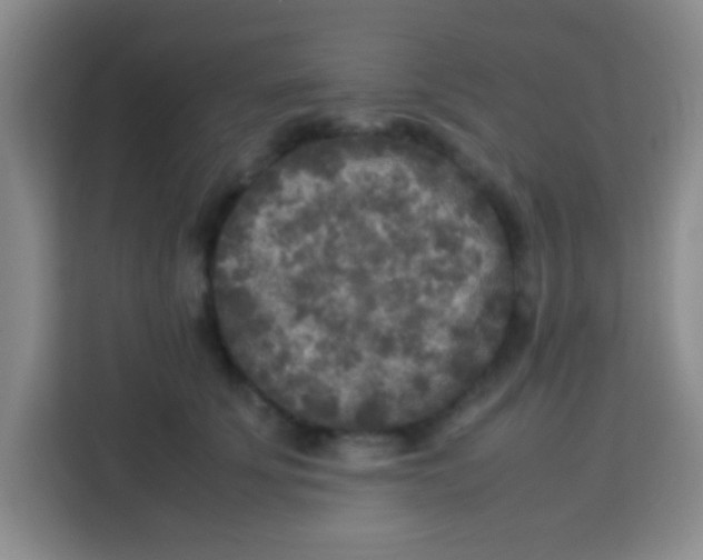 X0000113290707200910051101