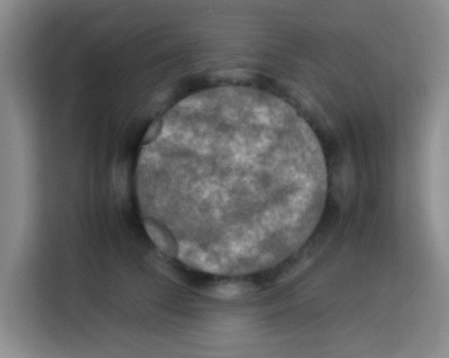 X0000113290708200910051100