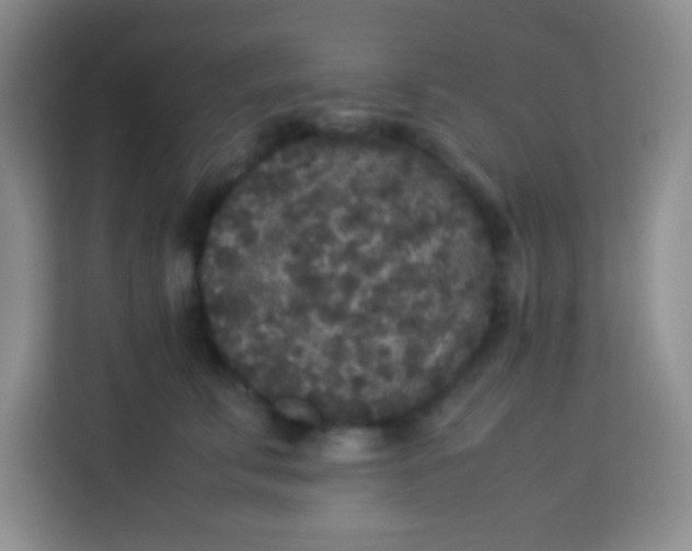 X0000113290711200910051100