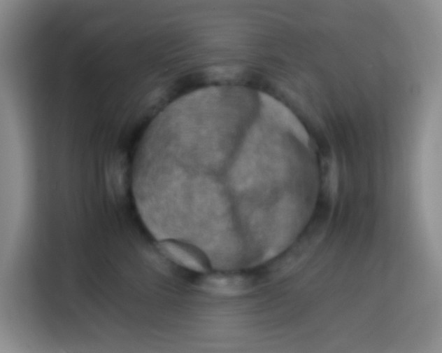 X0000113290712200910051100