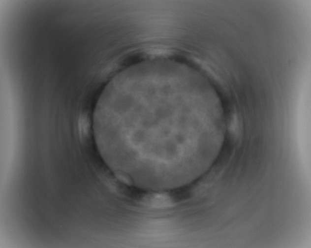 X0000113290715200910051100