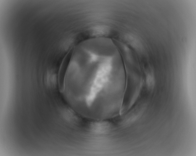 X0000113290716200910051100