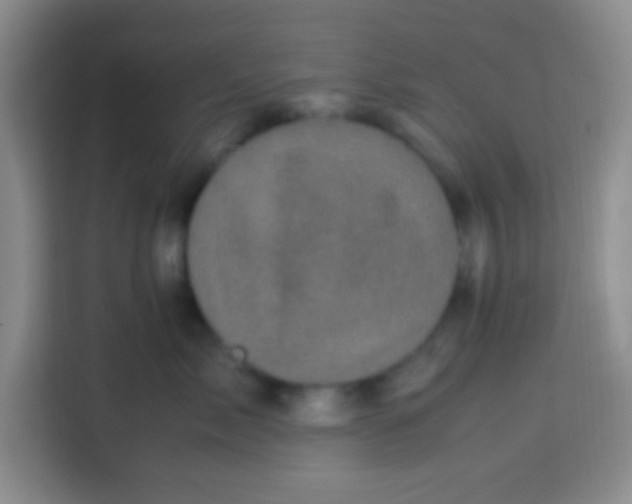 X0000113290717200910051100