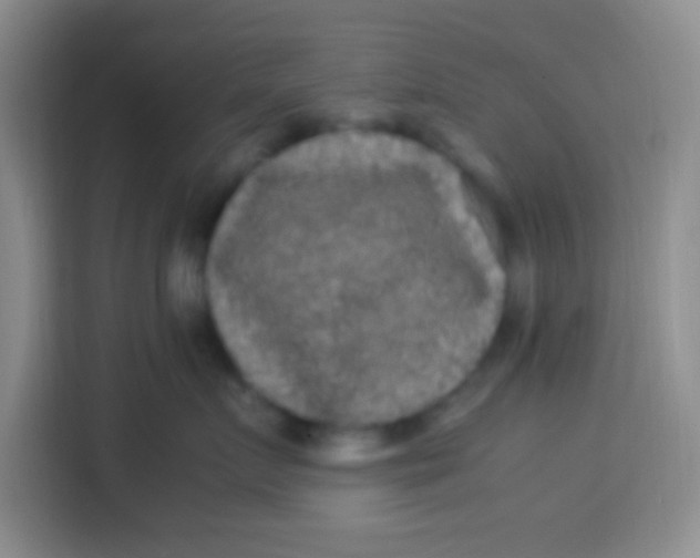 X0000113290719200910051100