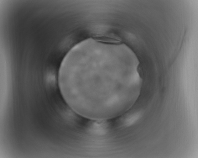 X0000113290720200910051100