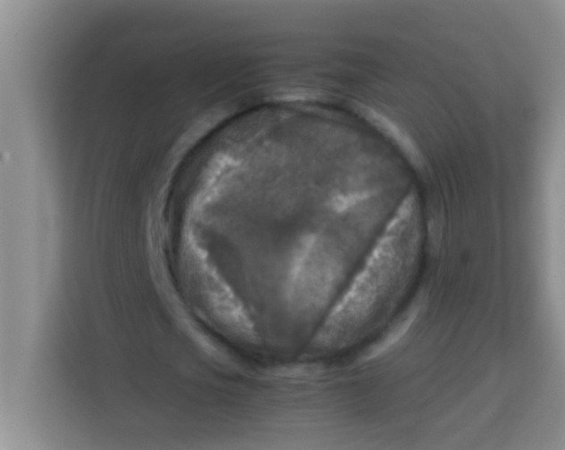 X0000113290721200910051100