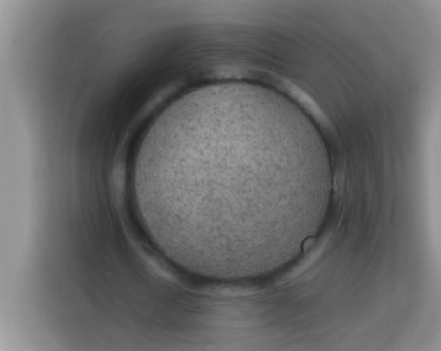 X0000113290722200910051100