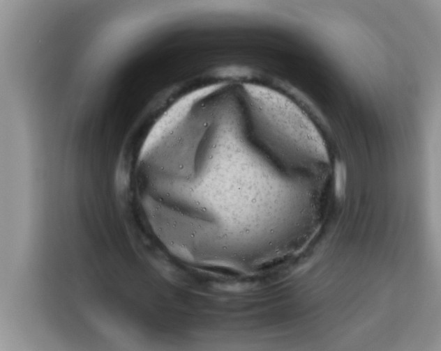 X0000113290723200910051100