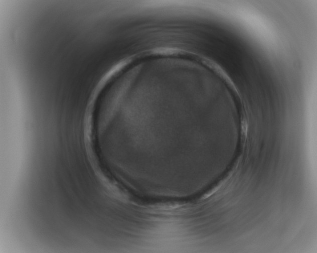 X0000113290724200910051100