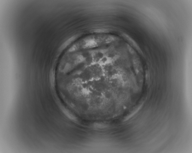 X0000113290725200910051100