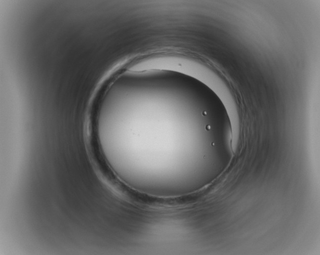 X0000113290726200910051100