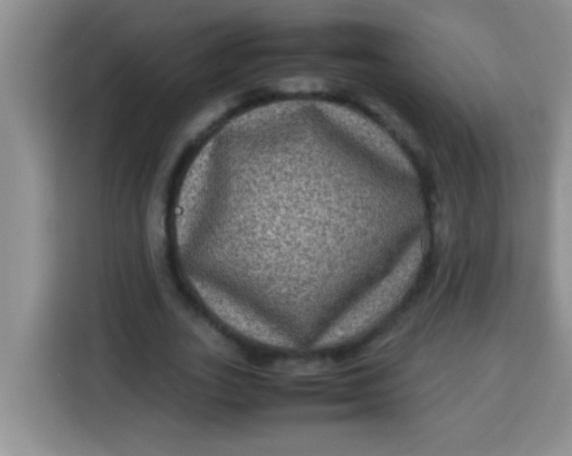 X0000113290727200910051100