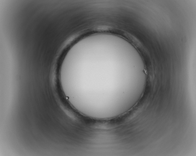 X0000113290728200910051100