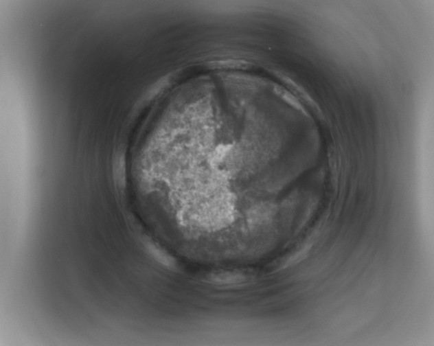 X0000113290729200910051100